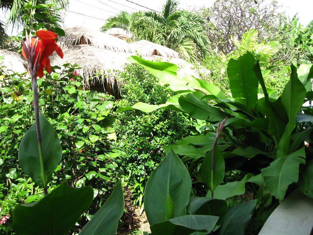 The Villa Paradiso Ltd. พนมเปญ ภายนอก รูปภาพ